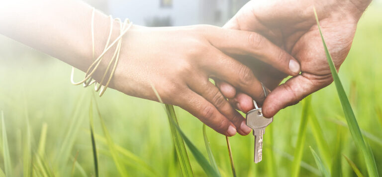 Bayerbau Headerimg 768x356