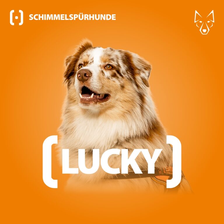 277577119 2743732302427314 123429533032165911 n 768x768