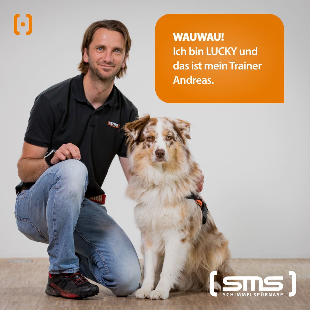 278229616 2755222664611611 919022994188042355 n