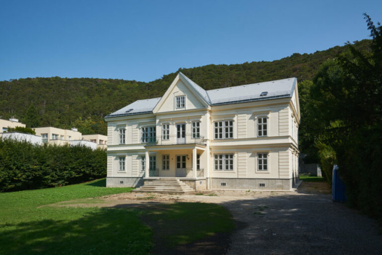 Baumeister Steurer 2 768x512