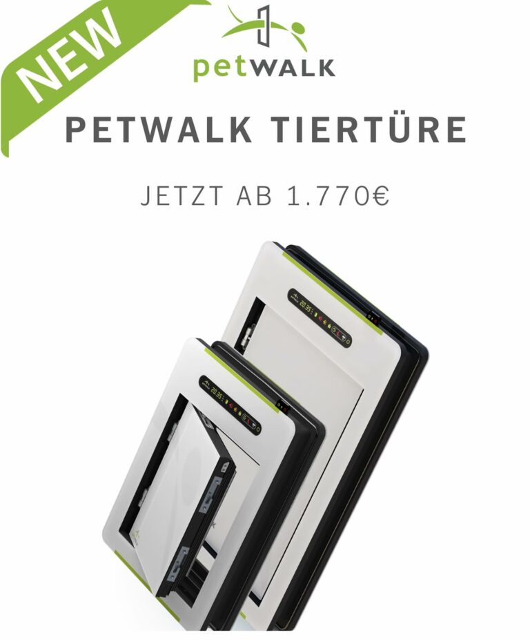 petwalk9 768x927