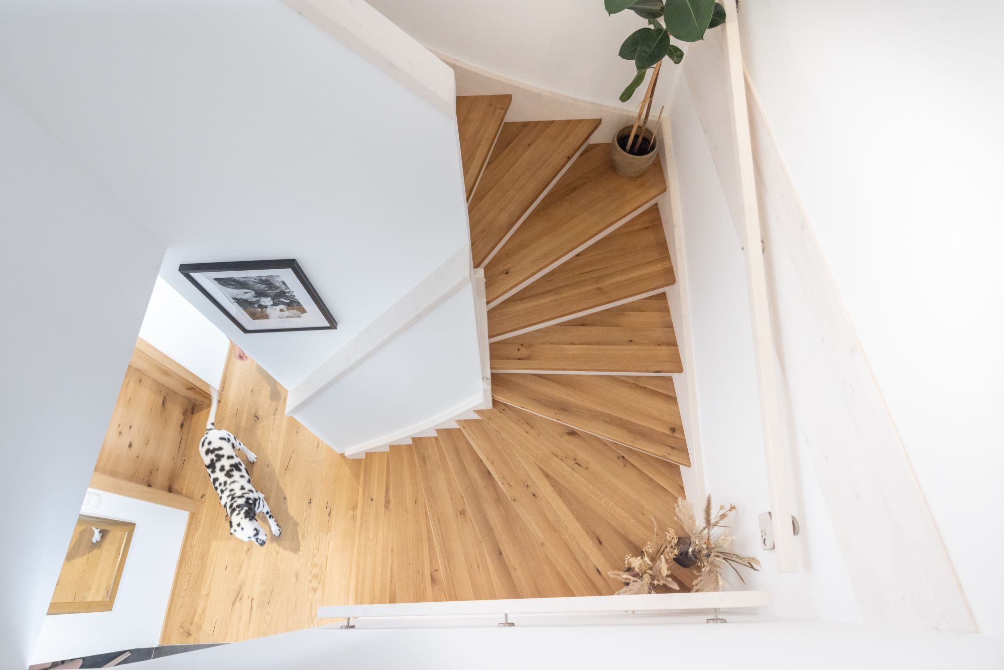 Fotocredit GRIFFNER 47