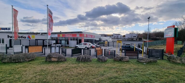 20230201 092812 resized 768x346